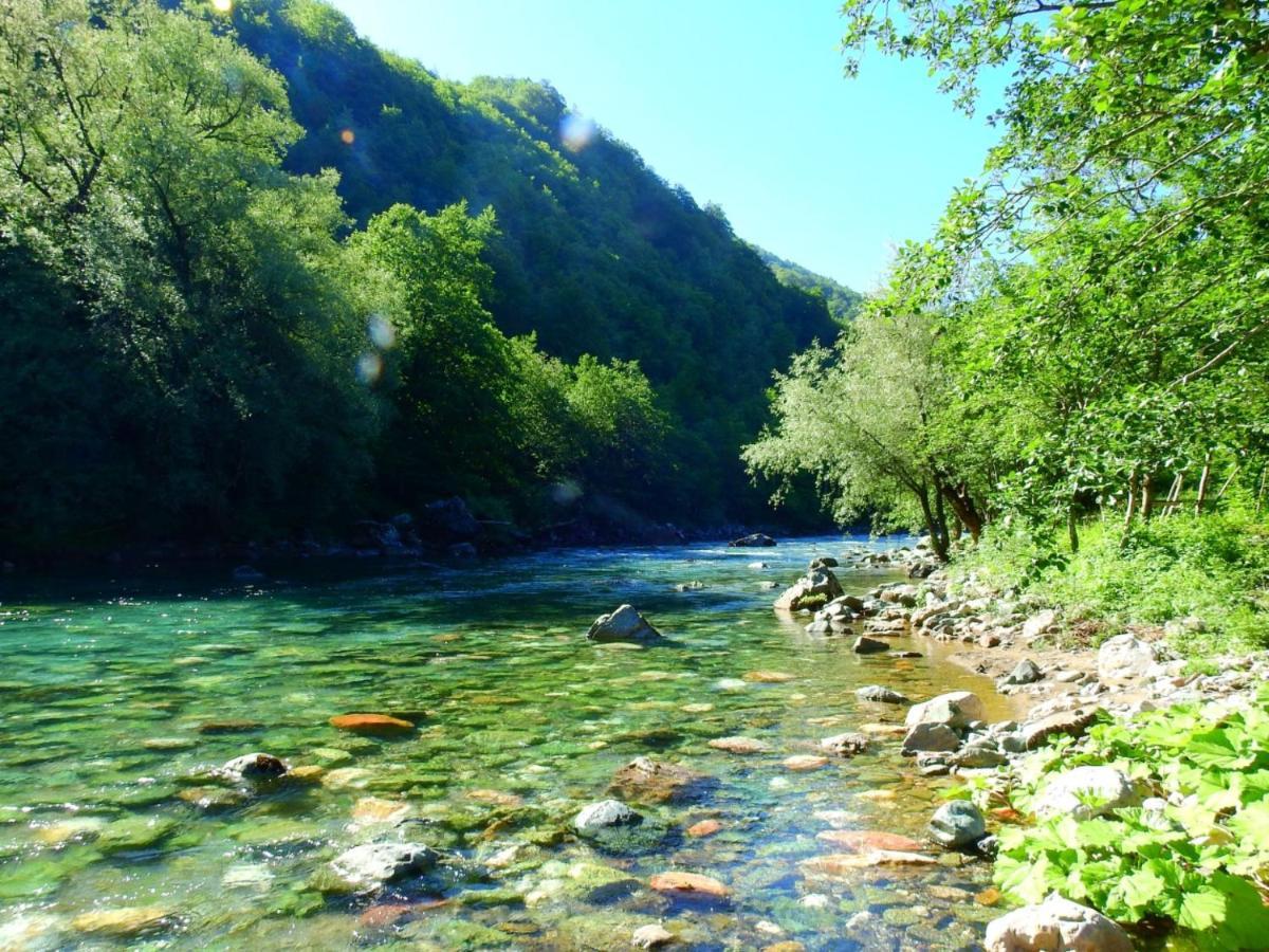 Private Accommodation Kalezic Mojkovac Kültér fotó
